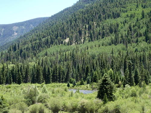 GDMBR: Looking west.